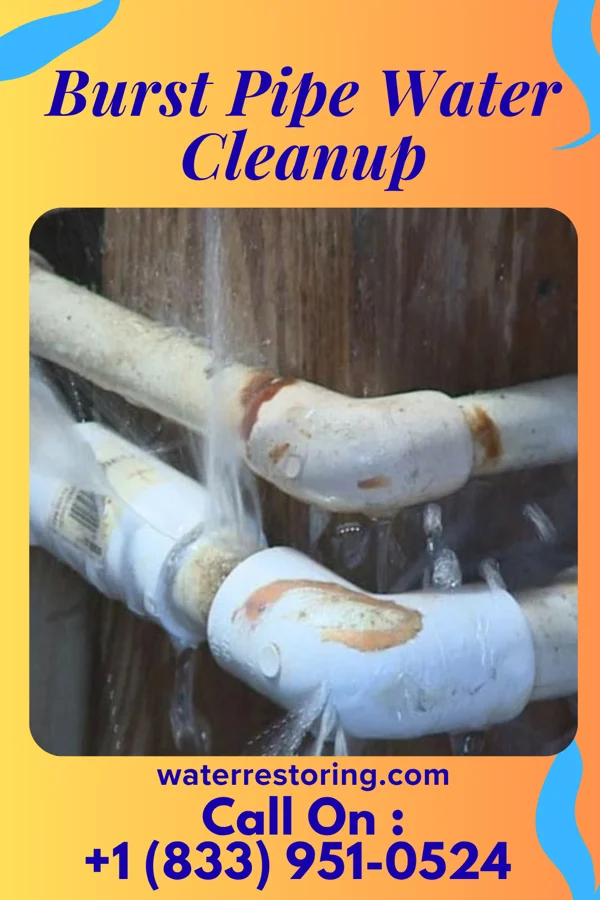 Burst Pipe Water Cleanup in Pine Ridge, SC