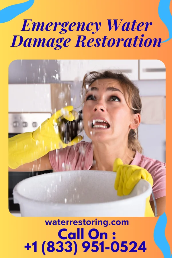 Emergency Water Damage Restoration in Pine Ridge, SC