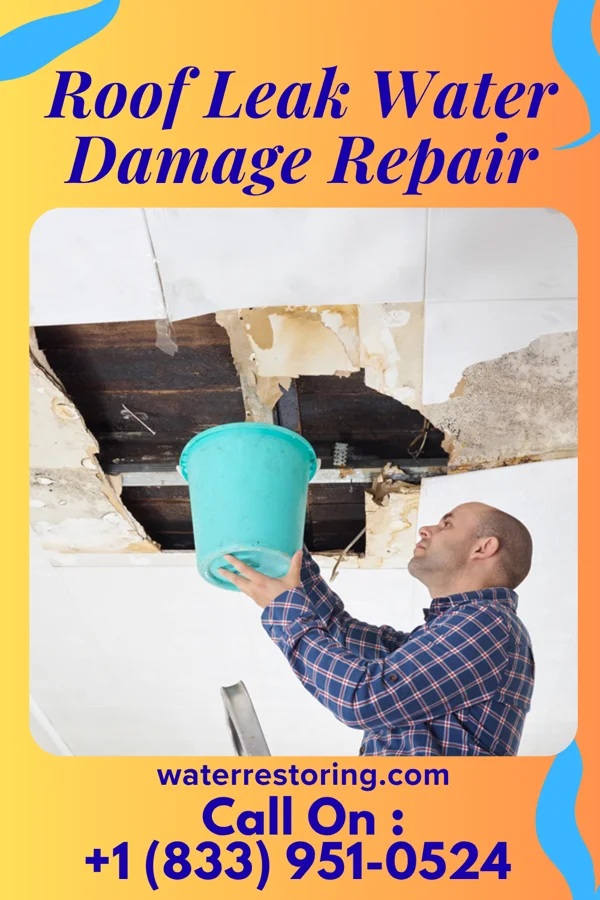Roof Leak Water Damage Repair in Pine Ridge, SC