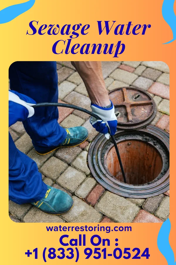 Sewage Water Cleanup in Pine Ridge, SC