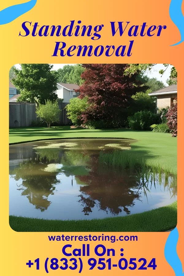 Standing Water Removal in Pine Ridge, SC